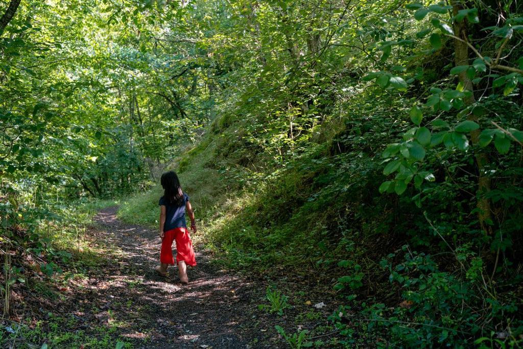 Camping Bockenauer Schweiz المظهر الخارجي الصورة